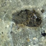 Riolita
10 x 9 x 4 cm.
(Autor: Felipe Abolafia)