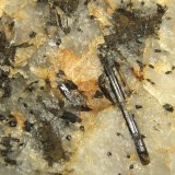 Wolframita (Grupo)
15 x 1 mm., el cristal mayor
(Autor: Felipe Abolafia)
