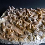 Calcita
330 x 280 mm.
(Autor: Jesus Franquesa Baucells)
