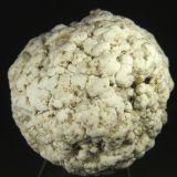 Calcita
diámetro: 5 cm.
(Autor: Felipe Abolafia)