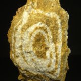 Riolita
8 x 4 cm.
(Autor: Felipe Abolafia)