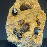 Cuarzo (variedad morión)
7,5 x 5 cm.
(Autor: Felipe Abolafia)
