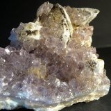 Cuarzo (variedad amatista)
7 x 6 cm.
(Autor: Felipe Abolafia)
