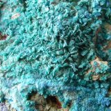 Clinoatacamita
3 x 2 cm
(Autor: javier ruiz martin)