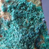 Clinoatacamita
3 x 2 cm
(Autor: javier ruiz martin)