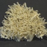 Yeso
9 x 8 cm.
(Autor: Felipe Abolafia)