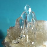 Yeso
5 x 6 cm., tamaño de los cristales: 2,5 x 0,8 cm.
(Autor: Felipe Abolafia)