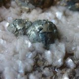 Pirita, Marcasita, Dolomita y Esfalerita
10 x 6 cm.
(Autor: javier ruiz martin)