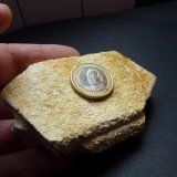 Ortoclasa
9 x 6 cm.
(Autor: javier ruiz martin)