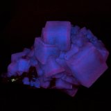 Fluorita
8 x 5 x 5 cm
(Autor: Josele)