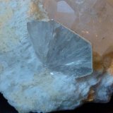 Berilo, Moscovita
6 x 3 cm. la pieza; 2 x 1,2 cm. el Berilo
(Autor: javier ruiz martin)