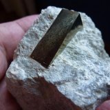 Pirita
6 cm x 5 cm. Cristal de 2,5 cm x 1 cm x 0,8 cm
(Autor: javier ruiz martin)