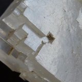 Halita
7 cm x 4 cm
(Autor: javier ruiz martin)