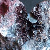 Hematites
(Autor: javier ruiz martin)