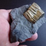 Pirita
6 cm x 6 cm
(Autor: javier ruiz martin)