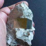 Pirita
7 cm x 6 cm. Cristal de 2,5 cm x 2 cm
(Autor: javier ruiz martin)