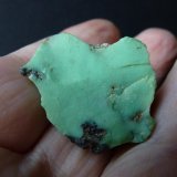 Variscita
4 x 3 cm.
(Autor: javier ruiz martin)