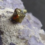 Fluorita, calcopirita
11 x 8 cm.
(Autor: javier ruiz martin)