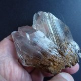 Yeso
7 x 6 cm
(Autor: javier ruiz martin)