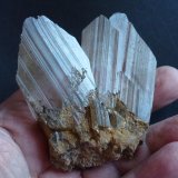 Yeso
7 x 6 cm
(Autor: javier ruiz martin)