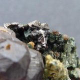 Granate, Anfíbol (variedad uralita), Magnetita, Calcita, Pirita
4 x 3 cm.
(Autor: javier ruiz martin)