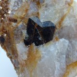 Casiterita, Cuarzo, Mica
Cristal de 0,2 cm.
(Autor: javier ruiz martin)