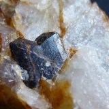 Casiterita, Cuarzo, Mica
Cristal de 0,2 cm.
(Autor: javier ruiz martin)