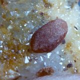Cuarzo
2 x 2 cm.
(Autor: javier ruiz martin)