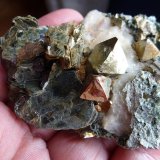 Pirita, Calcita, Tremolita, Magnetita, Actinolita, Clorita
6 x 6 cm.
(Autor: javier ruiz martin)