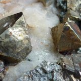 Pirita, Calcita, Tremolita, Magnetita, Actinolita, Clorita
6 x 6 cm.
(Autor: javier ruiz martin)