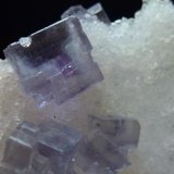 Fluorita y Cuarzo
7 x 6 cm.
(Autor: javier ruiz martin)