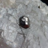 Carrollita en Calcita
6 x 4 cm.
(Autor: javier ruiz martin)