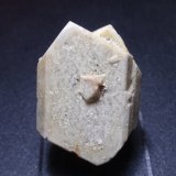 Ortoclasa [Orthoclase]
35x45 mm
(Autor: Ignacio)