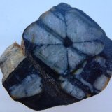 Andalucita (variedad quiastolita)
5,5 x 3,5 cm.
(Autor: javier ruiz martin)