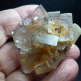 Fluorita
5 x 4 cm.
(Autor: javier ruiz martin)