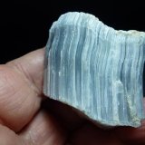 Celestina
6 x 5 cm.
(Autor: javier ruiz martin)