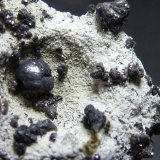 Villamaninita
3 x 1,2 cm.
(Autor: javier ruiz martin)