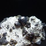 Villamaninita
3 x 1,2 cm.
(Autor: javier ruiz martin)