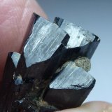Ilvaita
5 x 1,5 cm.
(Autor: javier ruiz martin)