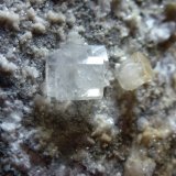 Calcita
1 x 0,8 cm. el cristal de Calcita mayor.
(Autor: javier ruiz martin)