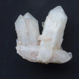 Cuarzo (variedad cuarzo lechoso)
4 x 3 cm.
(Autor: javier ruiz martin)