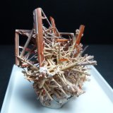 Gibbsita y Crocoita
5,5 x 3,5 cm.
(Autor: javier ruiz martin)