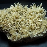 Yeso
7 x 6 cm.
(Autor: javier ruiz martin)