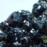 Grupo Granate y Magnetita
6 x 3,5 cm.
(Autor: javier ruiz martin)