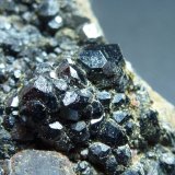 Andradita (variedad melanita) y Magnetita
4 x 4 cm.
(Autor: javier ruiz martin)