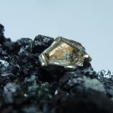 Magnetita, Clinocloro, Pirita, Actinolita y Calcita
7 x 4 cm.
(Autor: javier ruiz martin)