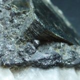 Clinocloro, Magnetita, Calcita, Pirita y Actinolita
11 x 6 cm.
(Autor: javier ruiz martin)