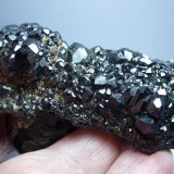 Andradita (variedad melanita), Magnetita
7 x 4 cm.
(Autor: javier ruiz martin)