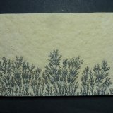 óxidos de manganeso
6 x 4 cm.
(Autor: javier ruiz martin)