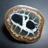 Calcita (variedad septaria)
7 x 6 cm.
(Autor: javier ruiz martin)